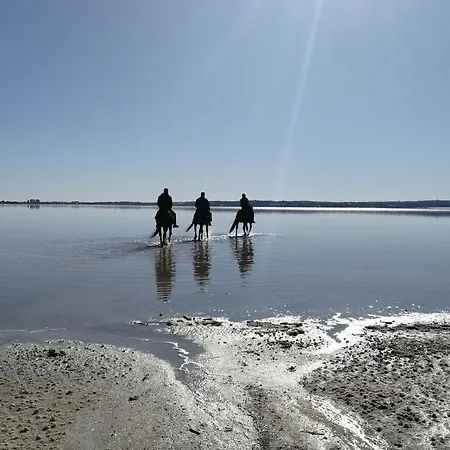 Sweet Bellavista Διαμέρισμα Τορεβιέχα